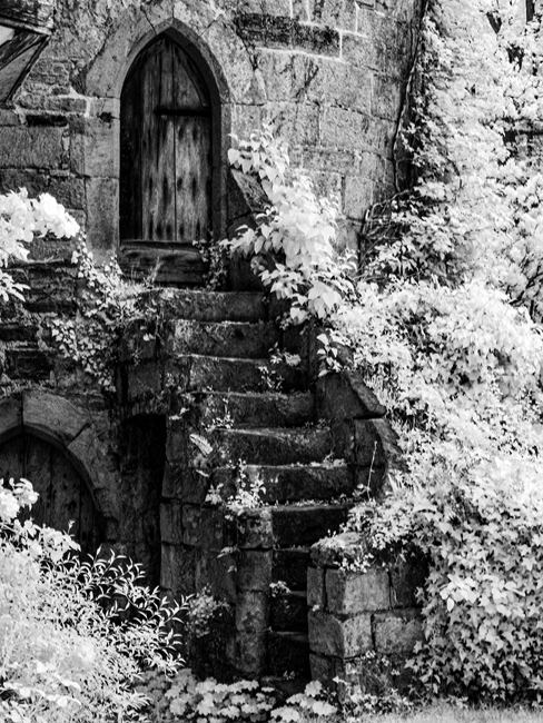 WI807 NT Scotne Castle  05 05 22